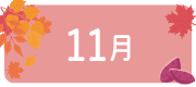 11月のイベント